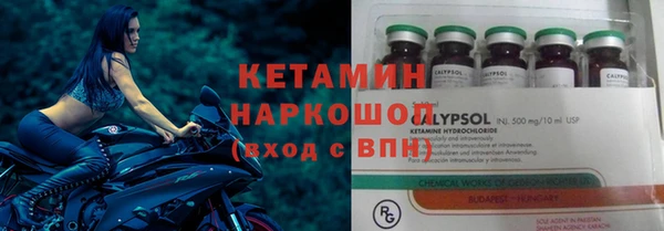 прущие грибы Белокуриха