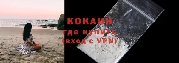 прущие грибы Белокуриха