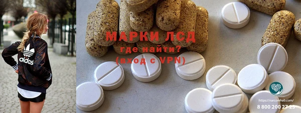 прущие грибы Белокуриха