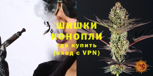 прущие грибы Белокуриха