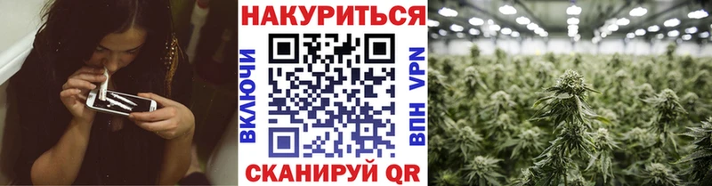 Марихуана SATIVA & INDICA  Купить где  Павлово 